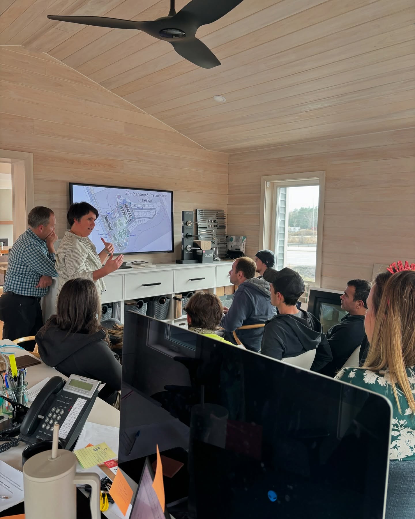 Board and governance practices